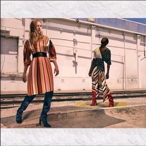 Limited Zara stripped dress